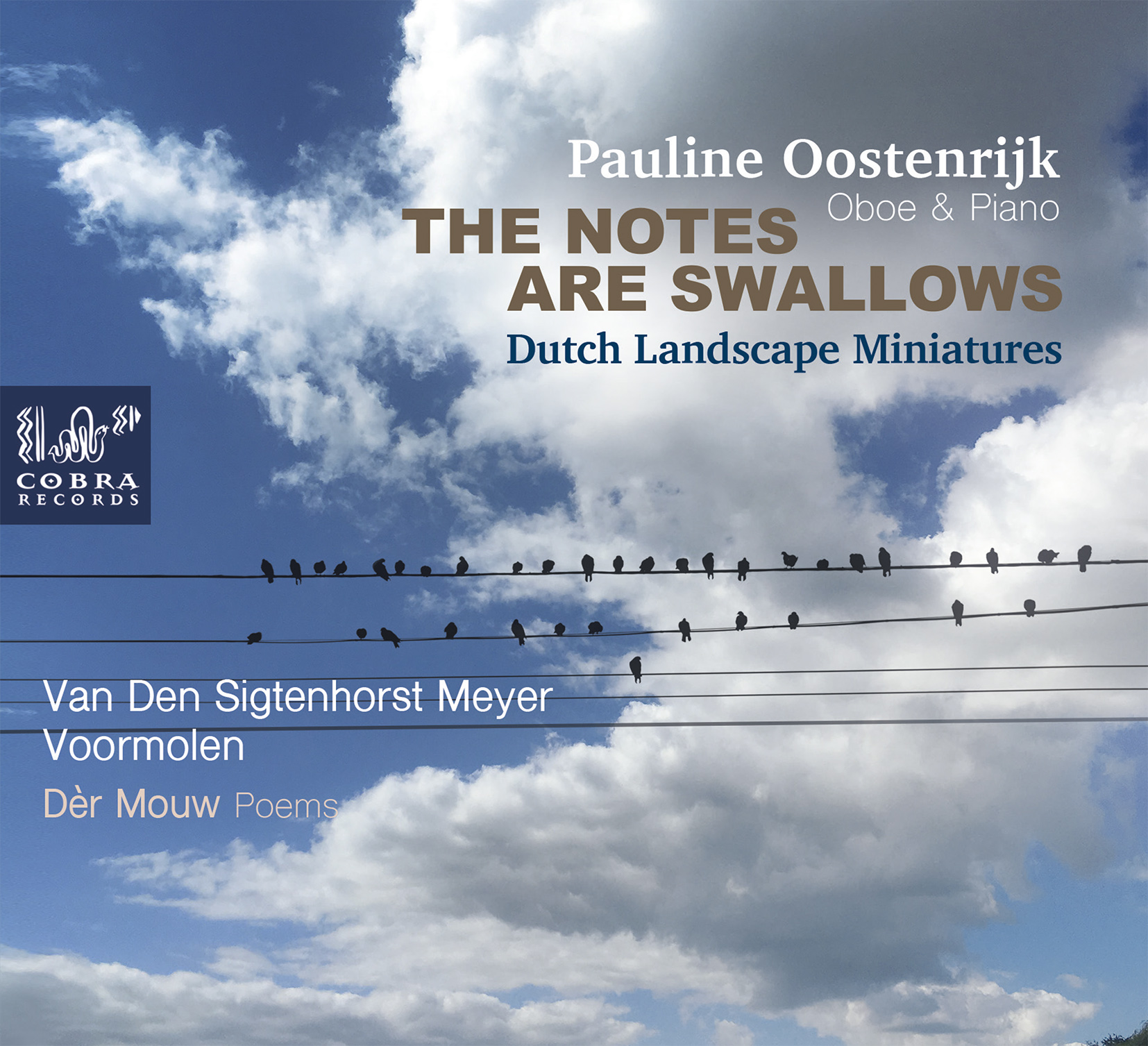 Pauline Oostenrijk — “The Notes Are Swallows” (Cobra Records, 2020)
